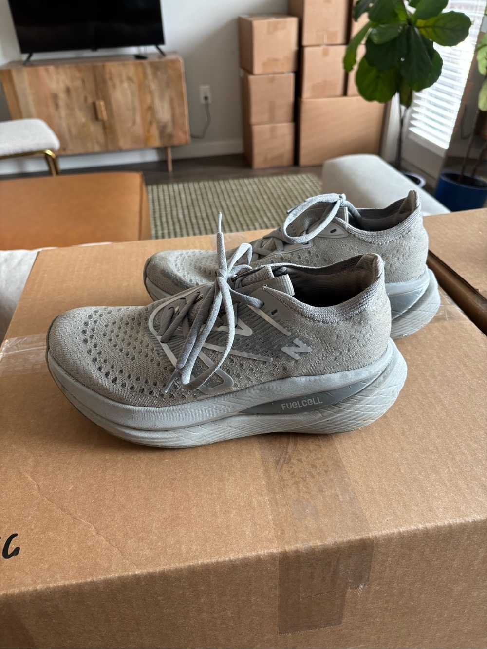 New Balance Light Gray Knit Running Shoe with Neutral Tones